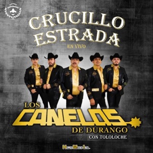 Las Consecuencias ( Tololoche) [En Vivo]