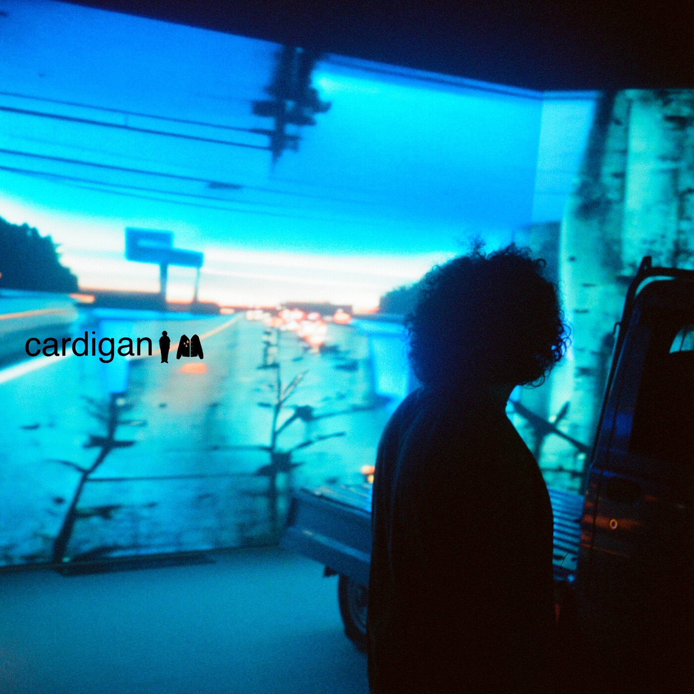 cardigan - Single