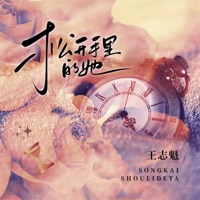 松开手里的她 - Single - 王志魁