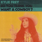 So You Think You Want a Cowboy? artwork