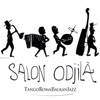 Salon Odjila