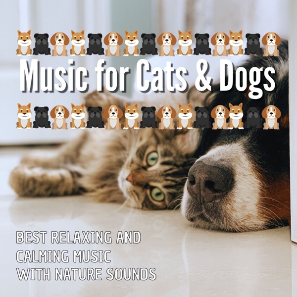 Music for Cats & Dogs - Best Relaxing and Calming Music with Nature Sounds