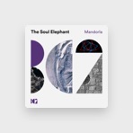 The Soul Elephant