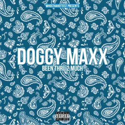 Been Thru 2 Much - Single