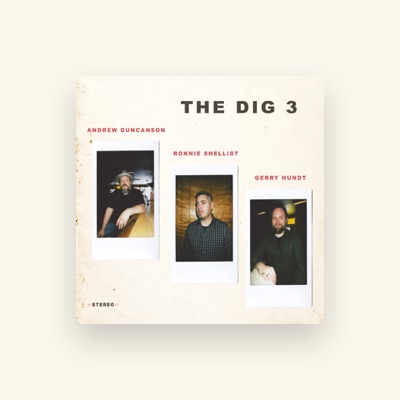 The Dig 3