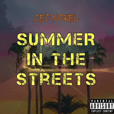 Summer in the Streets - Single