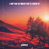 I Like You so Much! You 'll Know It! artwork