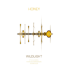 Honey (feat. Ayla Nereo & Jesse Klein) - Wildlight & The Polish Ambassador
