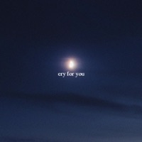 Cryforyou - Single - Strawbrry