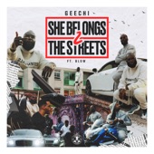 She Belongs 2 the Streets (feat. Blow) artwork