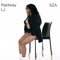 SZA - Paidway LJ lyrics
