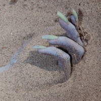 High Tide (Doss Remix) - Single - Eartheater