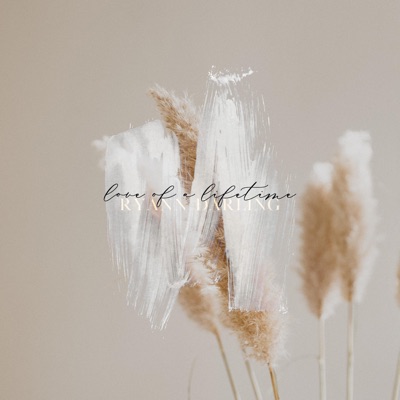 Love of a Lifetime - Single