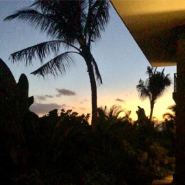 I Hope You Do Kronstudios