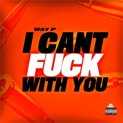 I Cant Fuck With You - Single