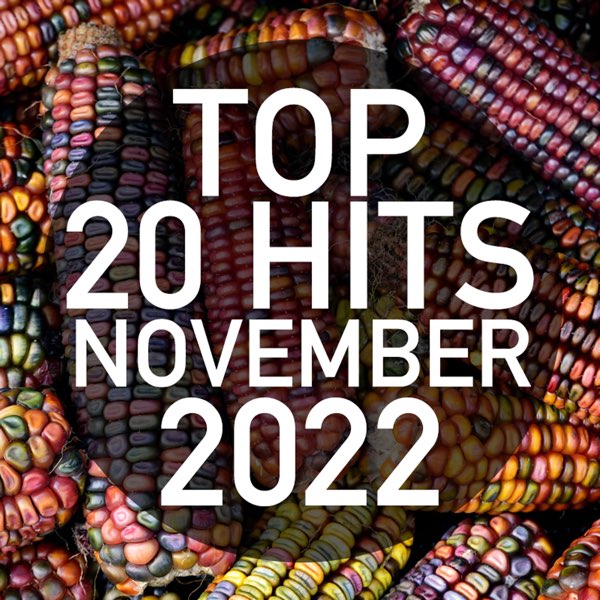 Top 20 Hits November 2022 (Instrumental) - Album by Piano Dreamers - Apple  Music
