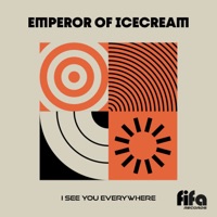 I See You Everywhere