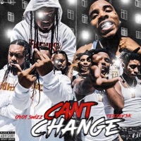 Cant Change (feat. Teejay3k) - Single - 0401 Swizz