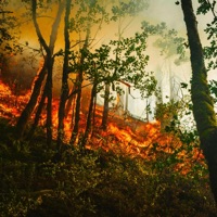 Es wird alles gut eines Tages - Single - EXILENCE