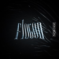 Flocon - Single - Noham