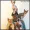Cat Love for You - iAmMoshow lyrics