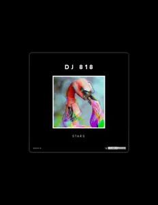 Dj 818を聴いたり、ミュージックビデオを鑑賞したり、経歴やツアー日程などを確認したりしましょう！