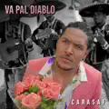 Carasaf