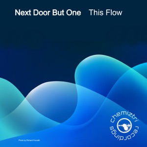 This Flow - Single