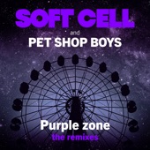 Purple Zone (Hercules & Love Affair Remix) artwork