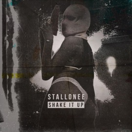 Shake It Up Stallonee