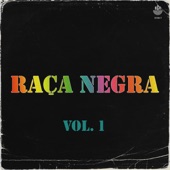 Raça Negra, Vol. 1 artwork