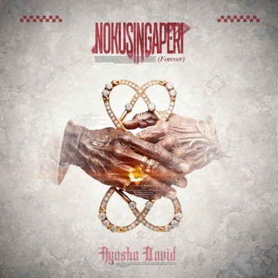 Nokusingaperi - Single