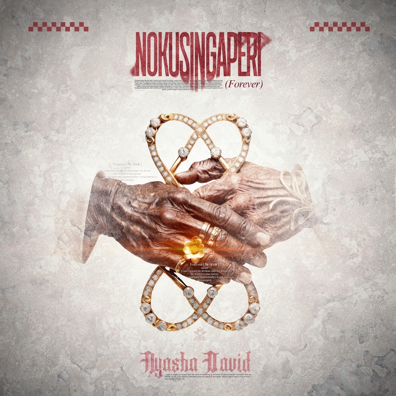 Nokusingaperi - Nyasha David: Song Lyrics, Music Videos & Concerts