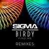 Find Me (feat. Birdy) [Remixes] - EP