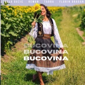 Ionela Guzic - Bucovina (feat. Florin Dragan)