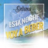 Esta Noche Voy A Beber - Single