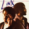 You're Lying (12" Mix) cover art