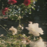 Affliction - Single - bøe