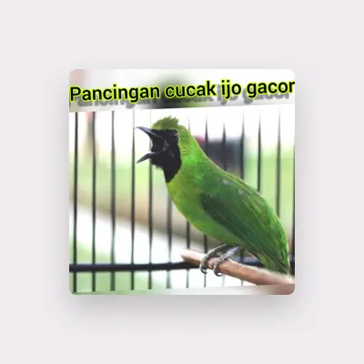Listen to Master cucak ijo 87, watch music videos, read bio, see tour dates & more!