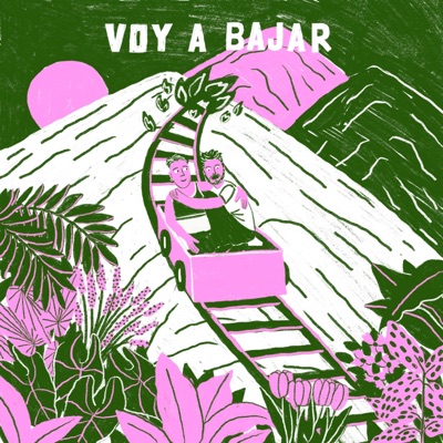 Voy a bajar - Single