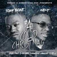 Cold Christmas - Tony Bone & Kai T