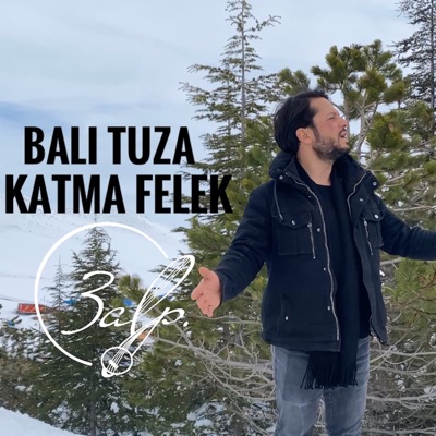 Balı Tuza Katma Felek - Single