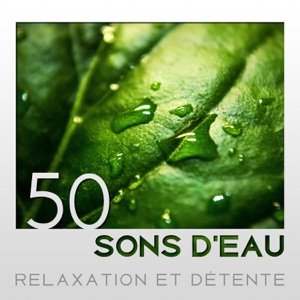 50 Sons d'eau - Relaxation et détente, Calme vagues de l'océan, Pluie rafraîchissante, Rivière, Ruisseau dans la forêt, Jardin, Forêt tropicale humide, Musique zen d'ambiance