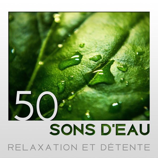 50 Sons d'eau - Relaxation et détente, Calme vagues de l'océan, Pluie rafraîchissante, Rivière, Ruisseau dans la forêt, Jardin, Forêt tropicale humide, Musique zen d'ambiance