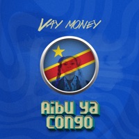 Aibu Ya Congo - Single - Vay Money
