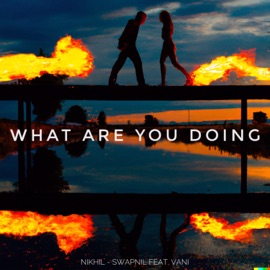 What Are You Doing (feat. Vanishree Sahu) Nikhil - Swapnil