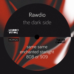 The Dark Side - Single