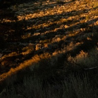 Shadow (From Netflix's 'the Devil In Ohio') - Single - John Mark Nelson