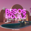 Besos Moja2 Entre la Playa (Mashup) [Remix] cover art