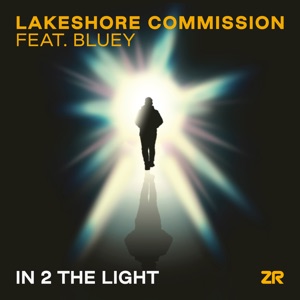 In 2 the Light (Dave Lee Mind Dimension Dub)